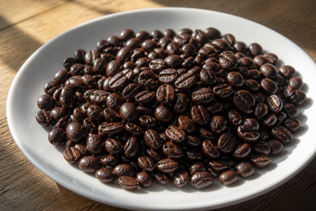 Close-up of glossy, vibrant dark roasted coffee beans with visible oil residue on their surface, displayed on a white ceramic plate with natural morning light highlighting the beans' texture and shine