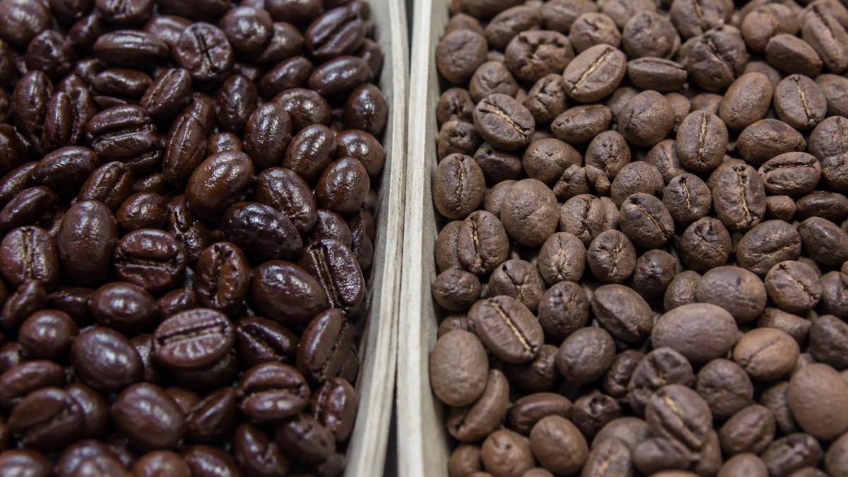 Comparison diagram showing how to tell if coffee beans are fresh by contrasting oily, shiny beans with dull, oxidized ones.