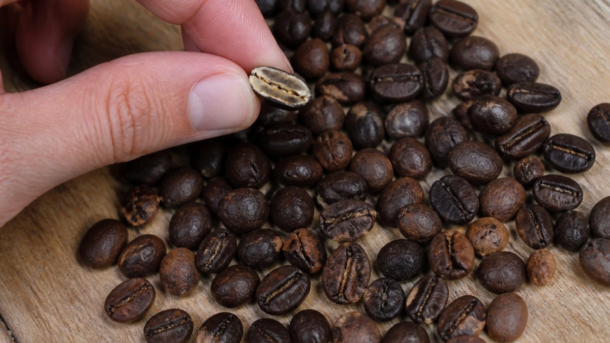 Close-up overhead shot of a hand holding a split coffee bean between thumb and finger, showing the pale interior against a scatter of whole roasted beans on a light wooden table