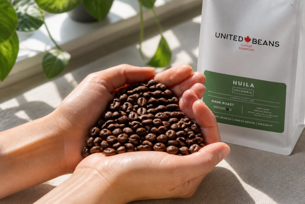 Close-up of freshly roasted coffee beans with vibrant surface oils and rich chocolate-brown color, held in cupped hands in natural window light, showing individual bean detail and glossy finish