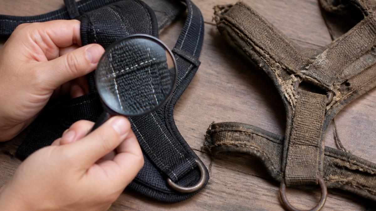 Close-up of hands inspecting reinforced stitching on a dog harness, with a magnifying glass and a worn-out harness beside it on a wooden table