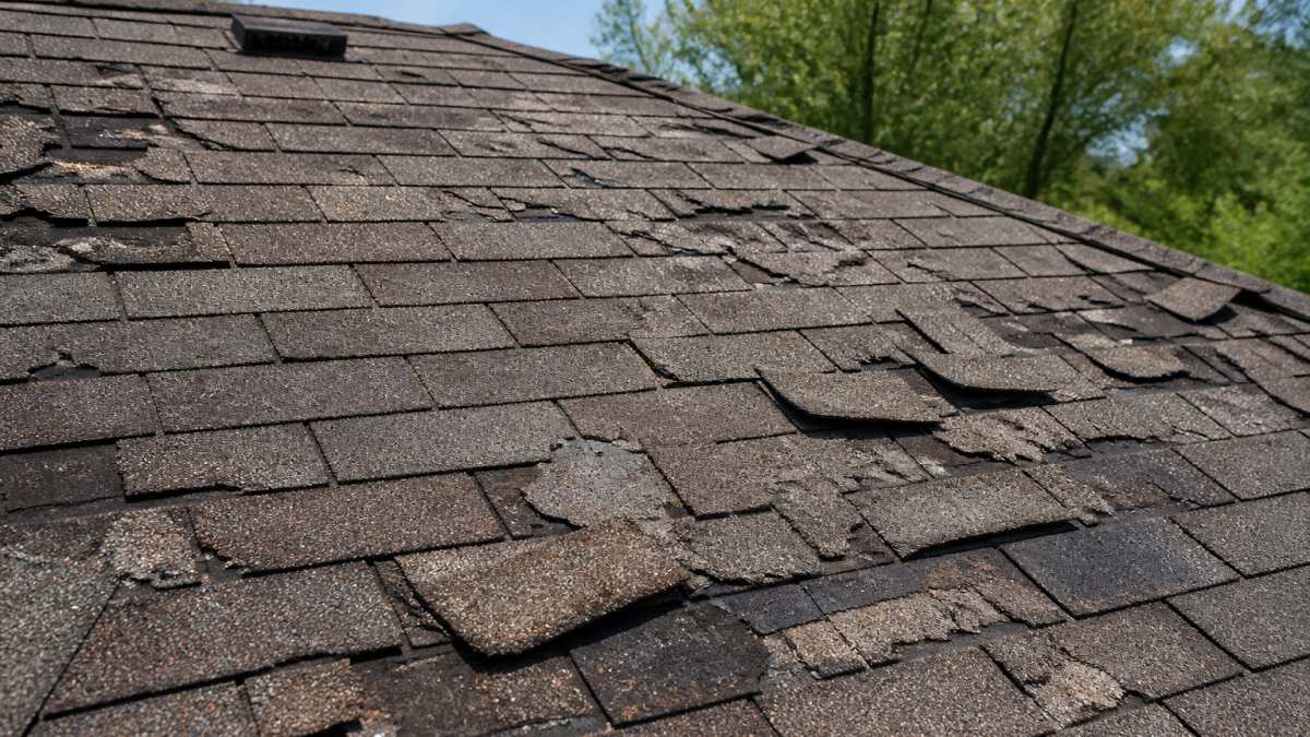 Close-up of residential roof showing damaged, missing, and curling shingles with visible weathering and granule loss