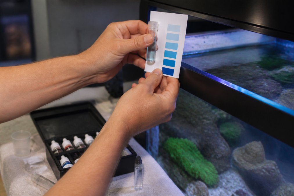 A hobbyist's hands holding a clear glass test vial up to a light source, comparing the liquid color to a laminated reference card positioned on the rim of a reef tank