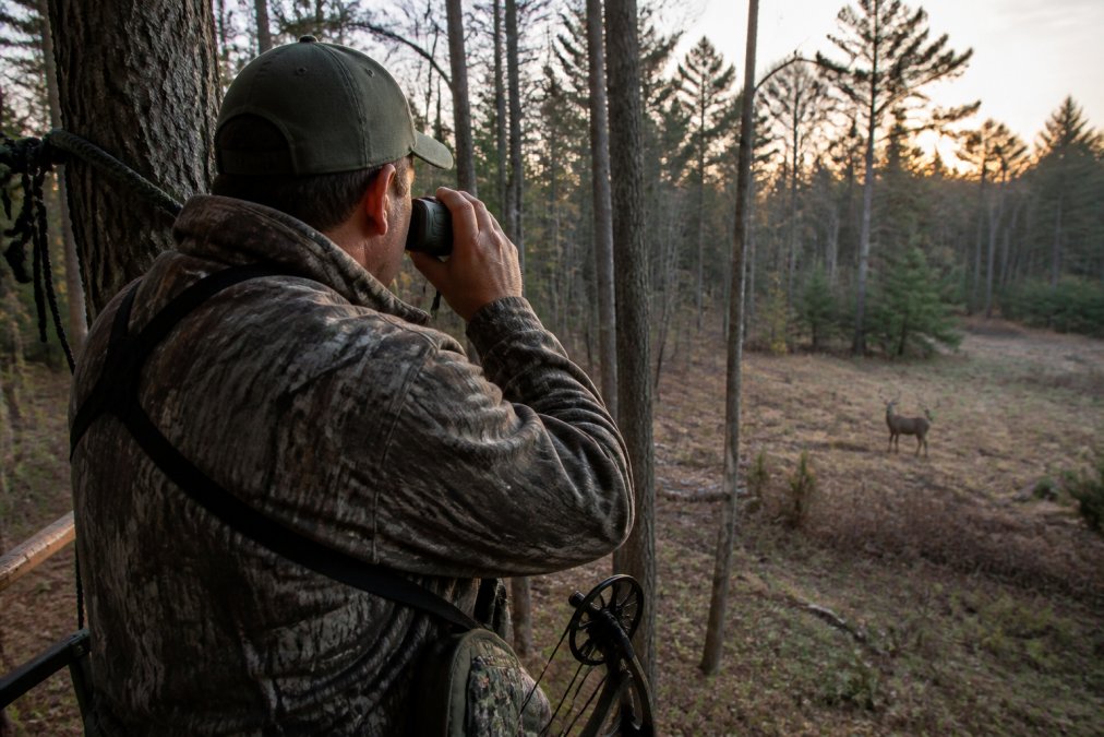 A hunter in a tree stand at dawn, holding a rangefinder to their eye and aiming toward a deer target in a forest clearing