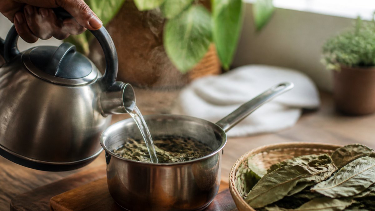 A hand pouring hot water from a kettle into a small saucepan filled with dried soursop leaves on a kitchen counter, steam rising, warm natural light