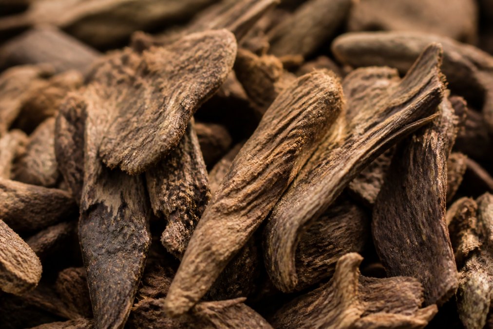 Nahaufnahme von getrockneter Iboga-Wurzelrinde mit sichtbaren Faserstrukturen, natürliche Beleuchtung, die die Textur und Alkaloid-reichen Strukturen hervorhebt