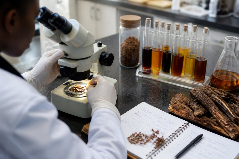 Nahaufnahme einer Laborarbeit mit Iboga-Pflanzenmaterial unter Mikroskop, Reagenzgläser mit Extrakten und handschriftlichen Notizen auf dem Labortisch