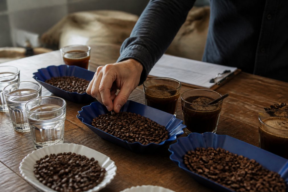Identifying Specialty Grade Coffee Beans: A 2026 Guide