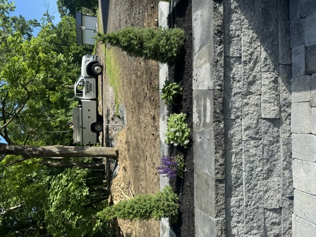 retaining wall with plants