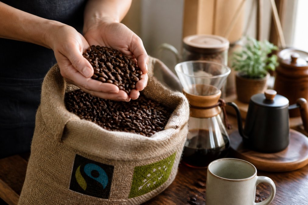 Hands holding freshly roasted coffee beans in a burlap bag with visible fair trade certification labels, warm kitchen setting with pour-over brewing equipment and wooden counter visible in soft morning light