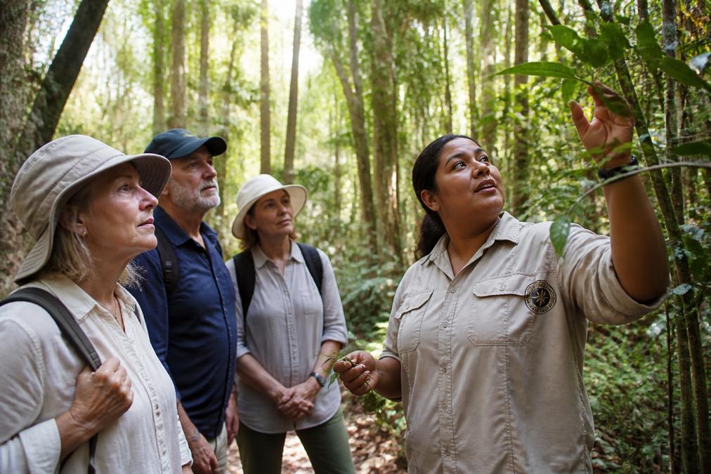 Indigenous guide leading a small group of mature travellers through native bushland, pointing out traditional plants and sharing knowledge, with dappled rainforest light filtering through canopy