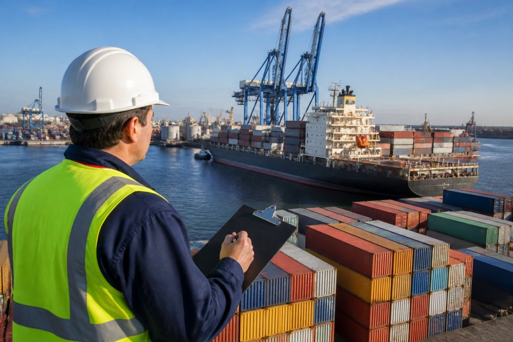 Instant Ocean Freight Rate Calculator: How It Works
