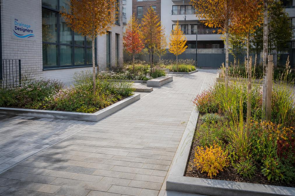 Modern urban courtyard featuring integrated rain gardens with native plantings, permeable paving in natural stone tones, and bioretention areas flanking a central pedestrian pathway on a bright autumn day
