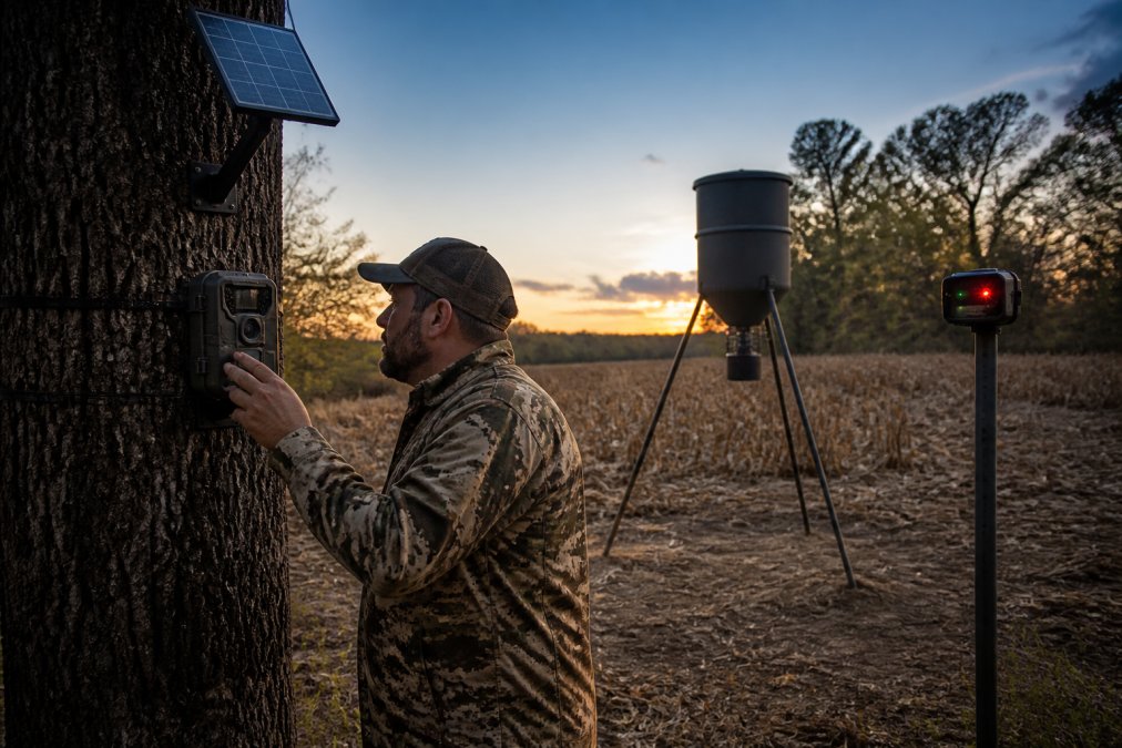 A hunter in camouflage checking a trail camera mounted on a tree trunk near a corn feeder at dusk, with a solar panel visible above the camera and a feeder light mounted on a nearby T-post