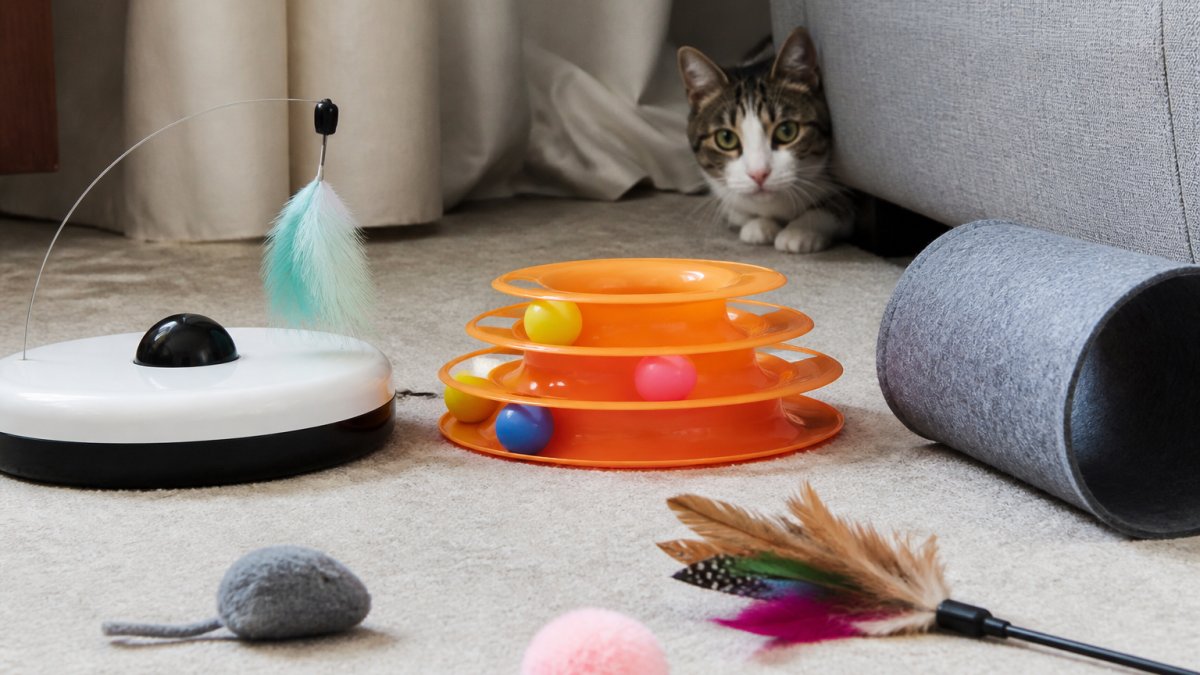 Interactive Toys for Shy Cats: A Gentle Guide