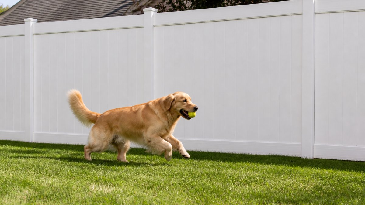 Is a Vinyl Fence Worth It for Dogs? 2026 Review
