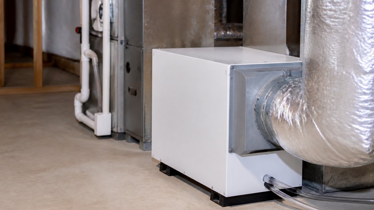 Is a Whole Home Dehumidifier Worth It?