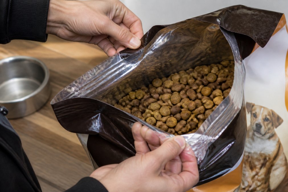 Close-up of hands conducting a systematic inspection of a pet food bag, checking seal integrity with fingertips, examining date markings, assessing bag condition for tears and oil stains, and opening slightly to inspect kibble color and texture