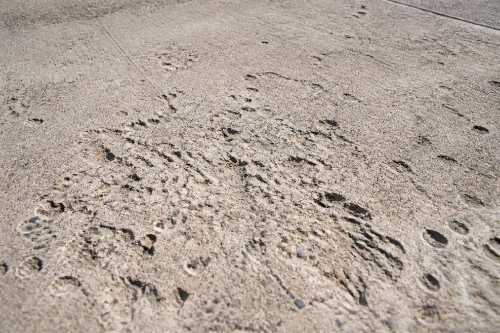 Close-up of a concrete driveway surface showing visible spalling, pitting, and surface deterioration with rough, cratered texture in natural sunlight
