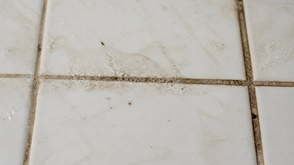 Close-up of discolored grout lines in a kitchen showing embedded grime, soap residue, and tracked-in dirt buildup on white tile surface with visible moisture stains