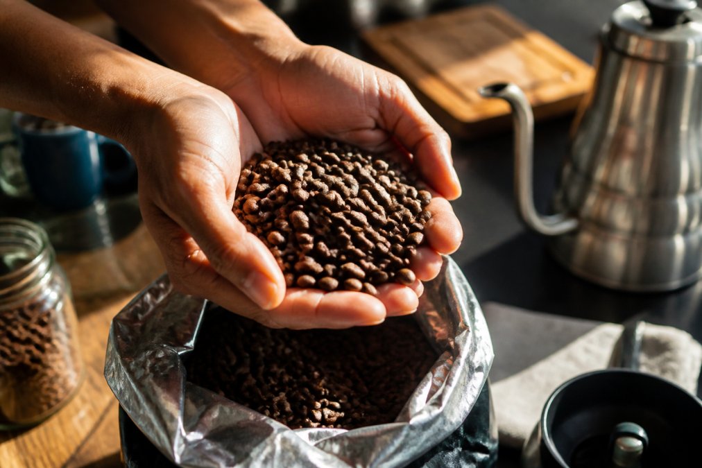 Close-up of hands holding premium single-origin coffee beans over an open bag, with morning light highlighting the bean color and texture