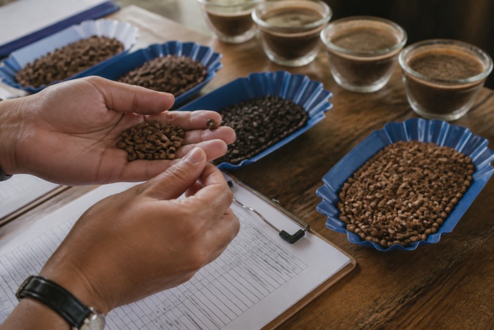 Close-up of specialty coffee beans being examined by hand, showing distinct bean density and color variation with cupping score sheets and tasting notes visible on a wooden table in natural light