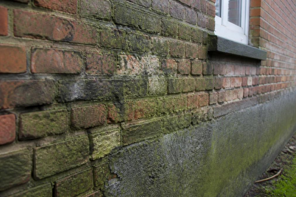Close-up van een verweerde bakstenen gevel met zichtbare vochtdamage, algengroei en vervallen voegwerk voordat deze wordt gereinigd