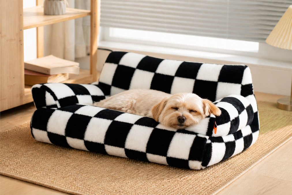 A small dog peacefully resting on a plush, supportive pet bed in a bright living room, showing relaxed posture with head resting comfortably on cushioned edges