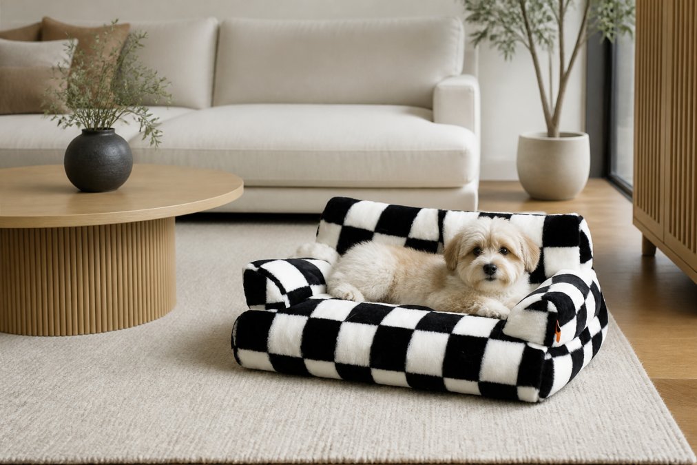 A compact apartment interior with a modern design aesthetic, featuring a stylishly integrated small dog bed in neutral tones alongside contemporary furniture pieces and minimalist decor