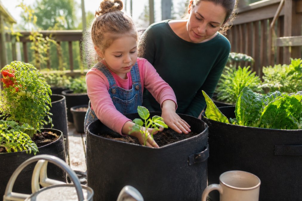 Is Organic Soil Worth It for Kids' Gardens?