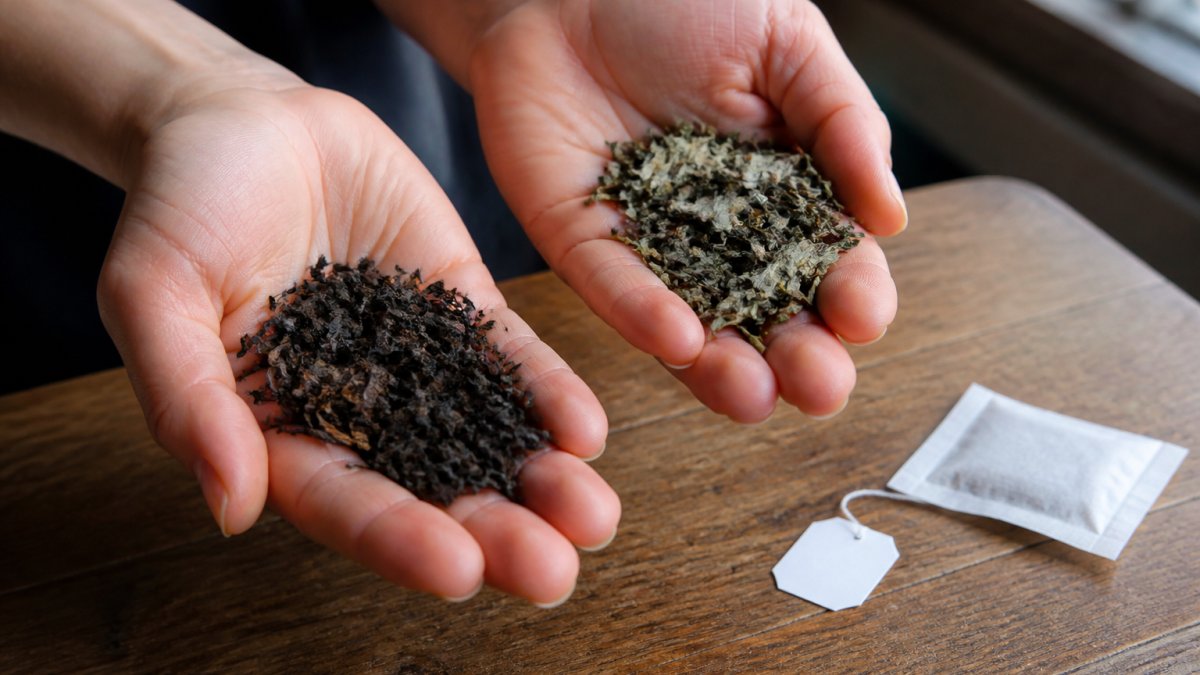 Diagram comparing the visual characteristics of organic and conventional loose leaf tea varieties