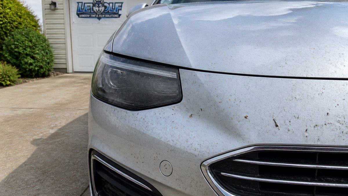 Close-up of a daily driver's silver front bumper and hood covered in small rock chips and road grime after highway driving, parked in a residential driveway in afternoon light