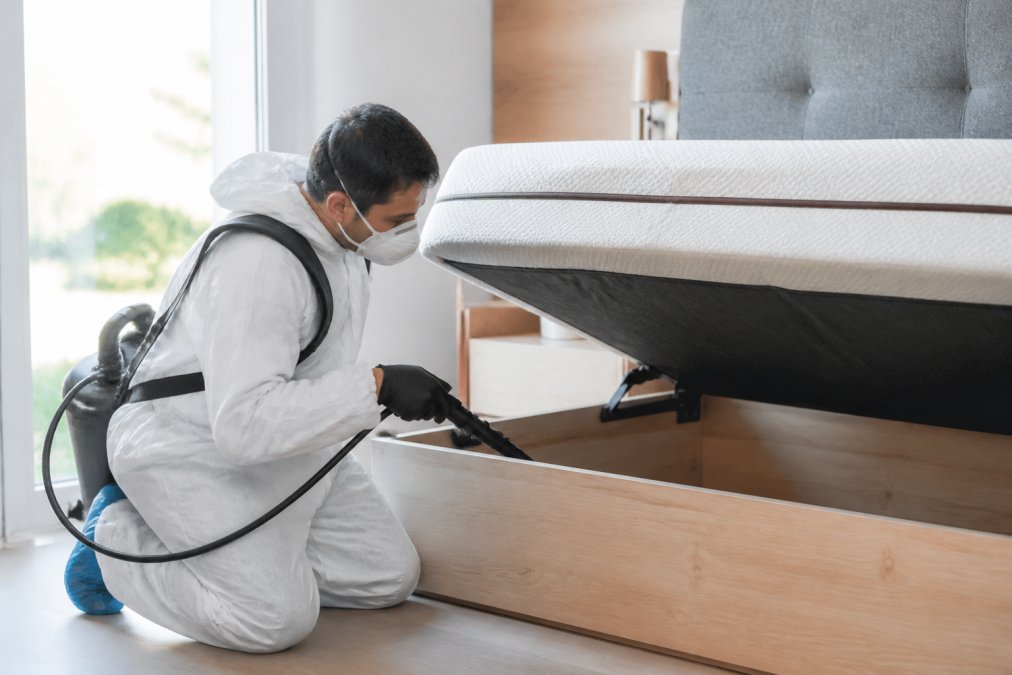 Professional pest control technician in protective gear conducting a thorough inspection of a bedroom, using professional-grade equipment near a mattress in bright daylight