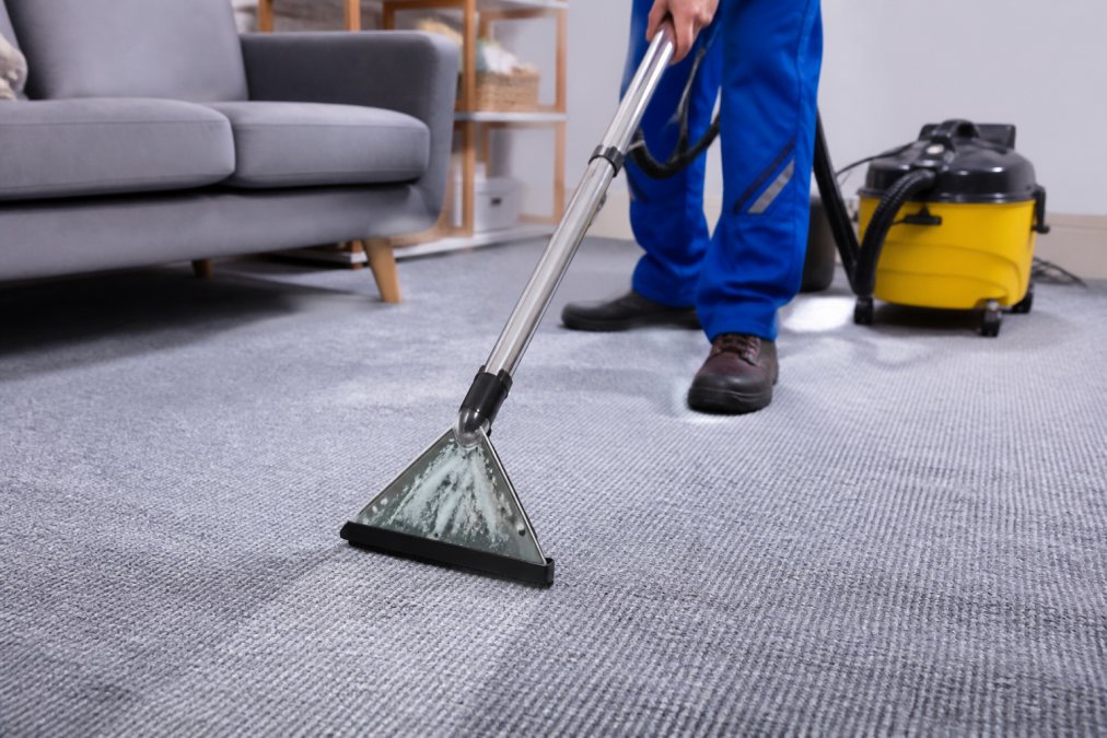 Is Professional Carpet Cleaning Worth It? A 2026 Guide