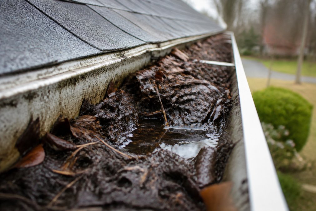 Close-up of a clogged gutter filled with leaves, twigs, and dark debris with water pooling visibly at the low point, showing deteriorated condition and drainage failure