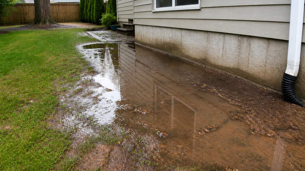 Residential backyard showing visible standing water pooling near foundation with muddy patches and water runoff visible after rain, natural outdoor lighting