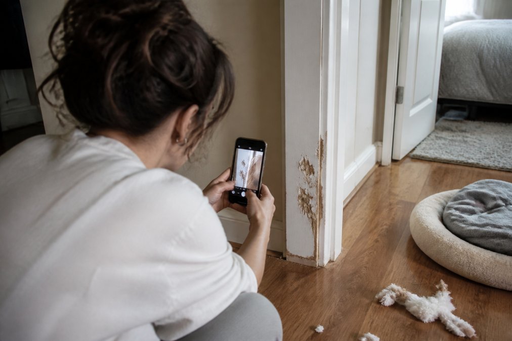 Renter using a smartphone to document scratched door frames and flooring for a renters insurance pet damage claim.