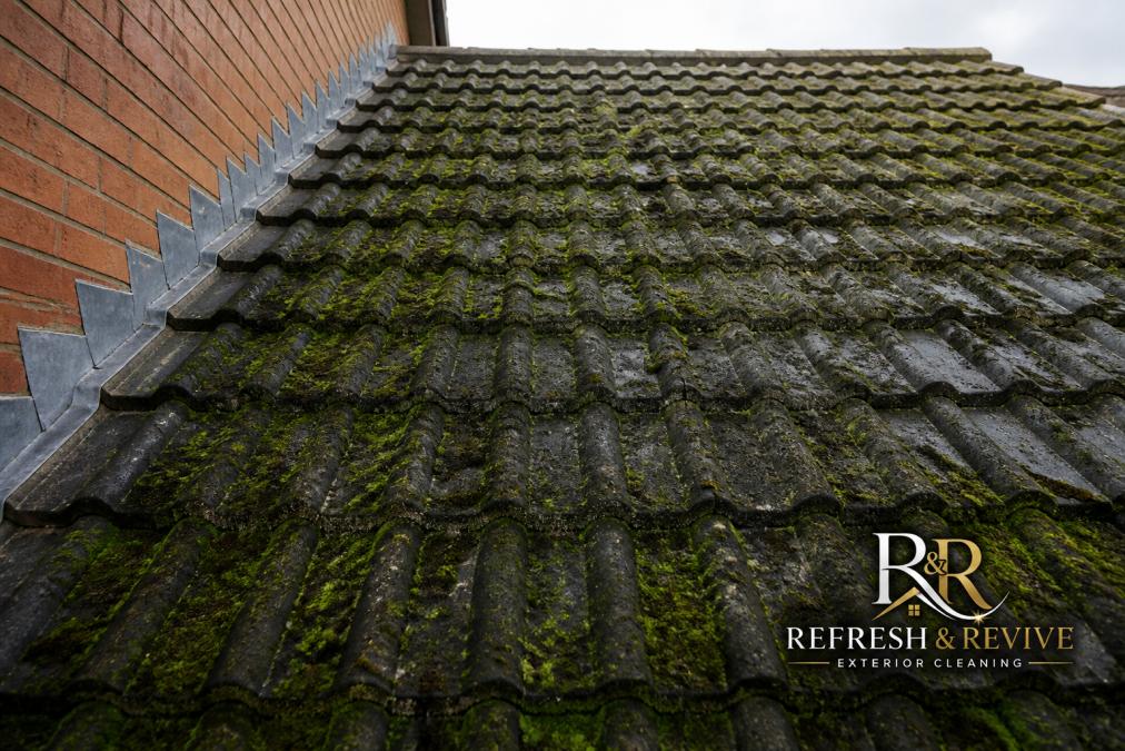 Roof tiles covered in thick moss and algae growth showing dark green and black discolouration across slate or clay tiles before professional treatment