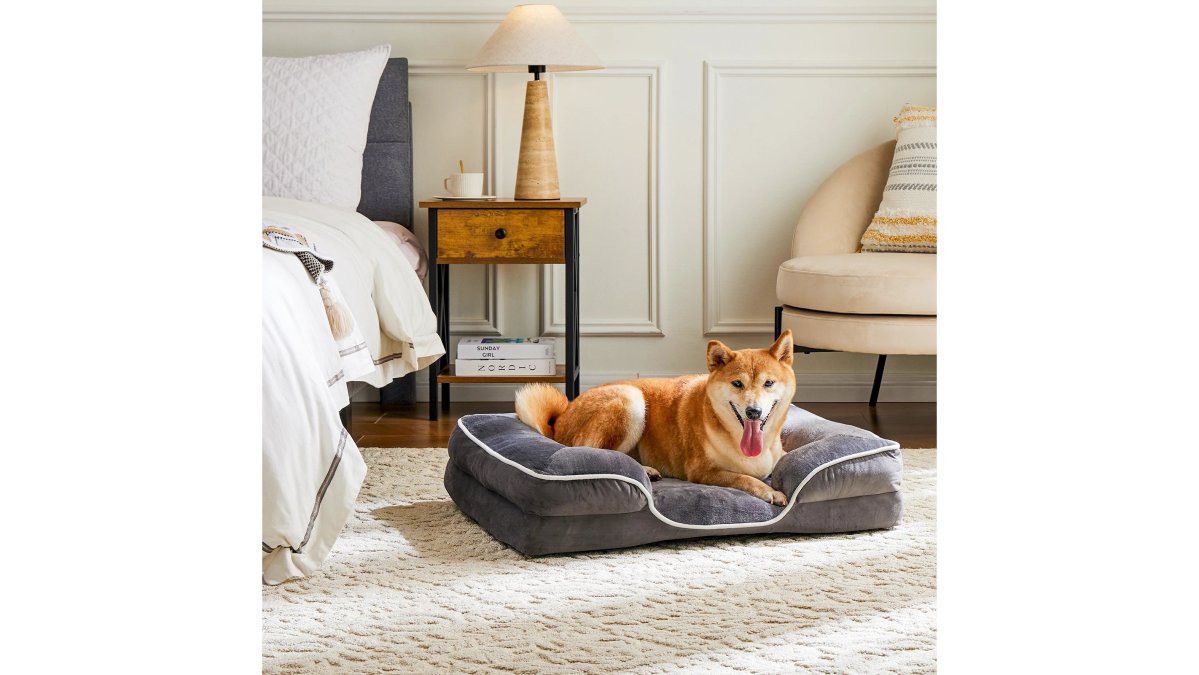 JHK Orthopedic Dog Bed Memory Foam Pet Bed for Small Dogs & Cats with Washable Removable Cover Non-Slip Base Waterproof Liner