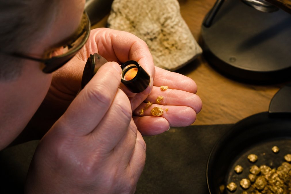 Collector's hands examining raw gold flakes under magnification with a jeweler's loupe, natural lighting from desk lamp, close-up showing careful authentication