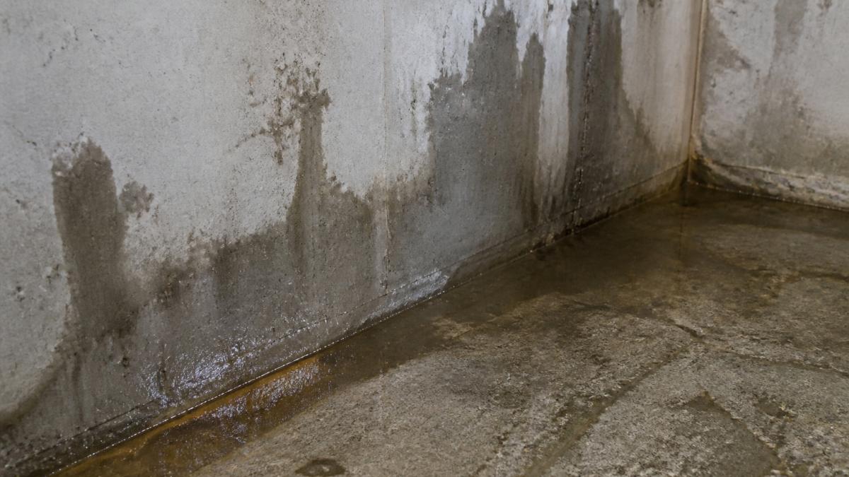 Close-up van een kelderwand met zichtbare vochtplekken, waterinfiltratie aan de vloer-wandaansluiting, en sporen van grondwaterdruk op het beton