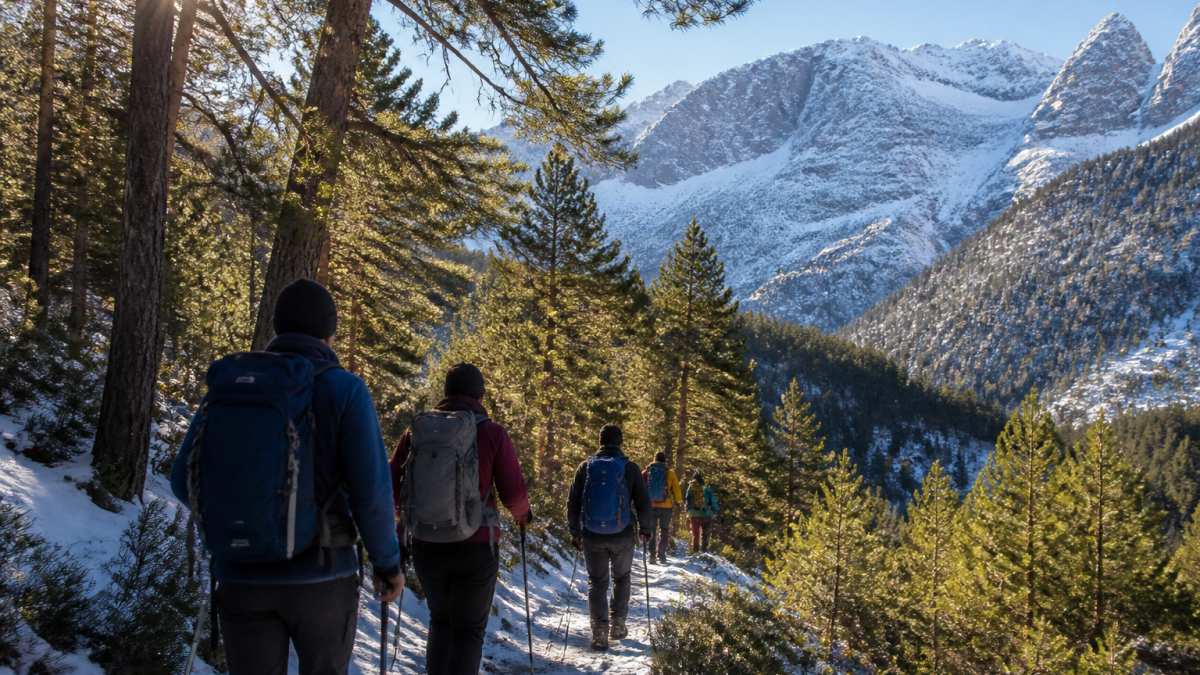 Kış aylarında yeşil orman alanında yürüyüş yapan turist grubu, dağ manzarası ve berrak hava, güneş ışınları ağaçlardan sızıyor