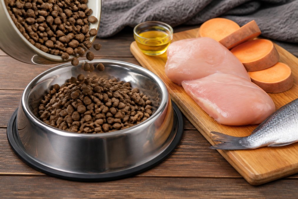 Close-up of premium dog food kibble being poured into a stainless steel bowl, with fresh chicken breast, sweet potato slices, and fish oil visible arranged on a wooden cutting board beside the bowl
