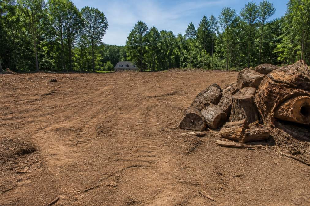 Professional illustration showing land clearing companies in virginia