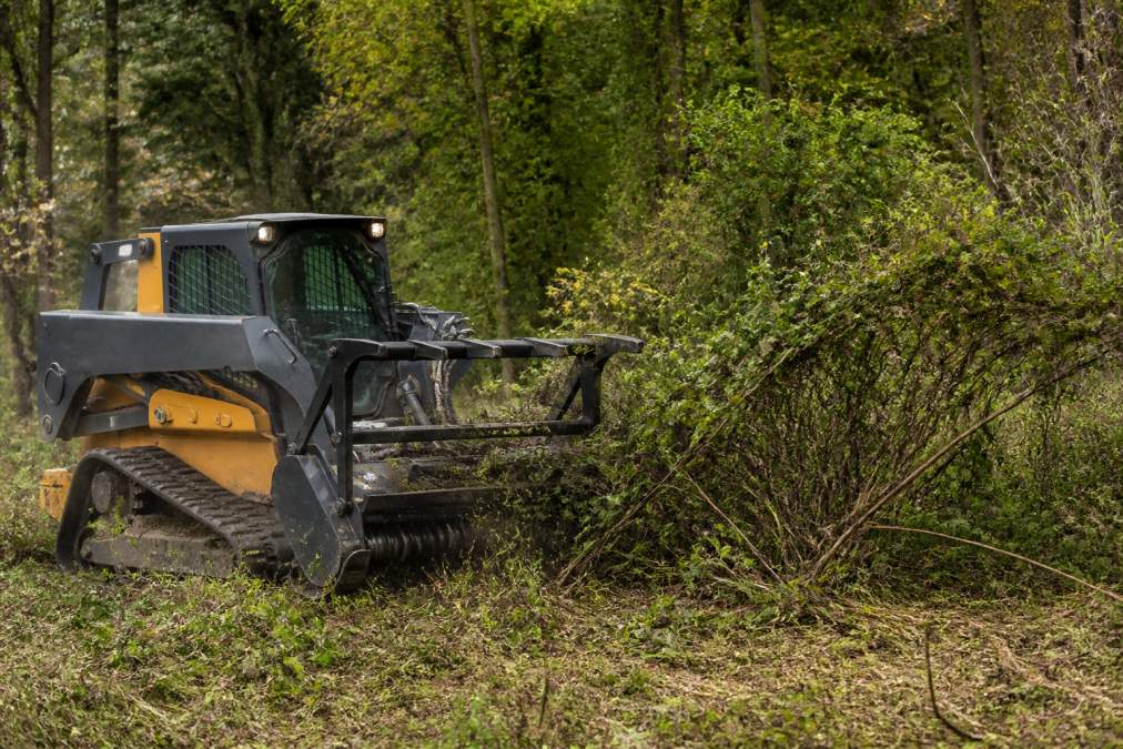 Skid steer loader with forestry mulcher attachment working through dense brush and overgrown vegetation on sloped Appomattox property with mixed hardwood trees and tangled underbrush
