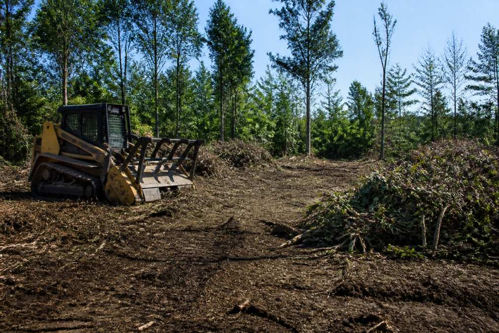 Land Clearing in East Texas: A Complete Guide