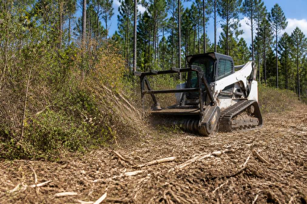 Professional illustration showing East Texas for land clearing