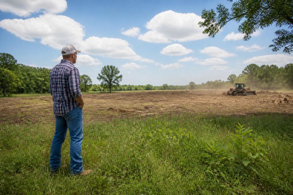 A farmer in work boots and a plaid shirt standing at the edge of a lush green pasture, looking out over a recently cleared field with a forestry mulcher working in the background on a sunny day