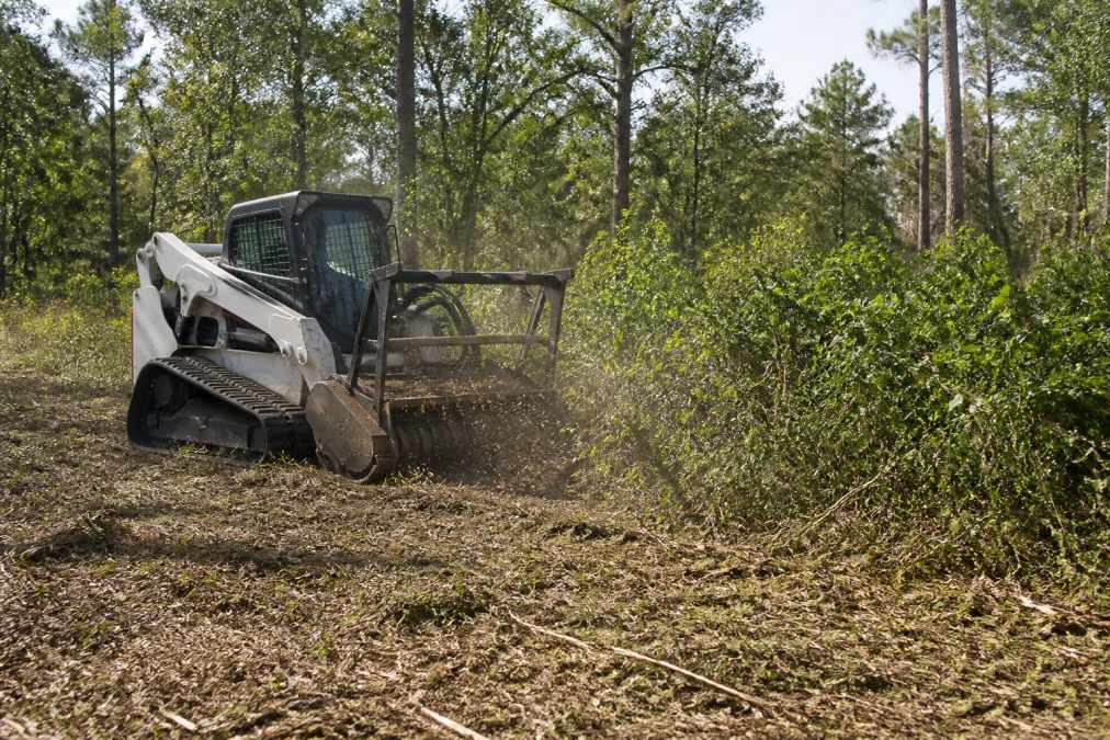 A forestry mulcher clearing thick brush and undergrowth on a rural East Texas property, with cut vegetation and mulch visible on the ground