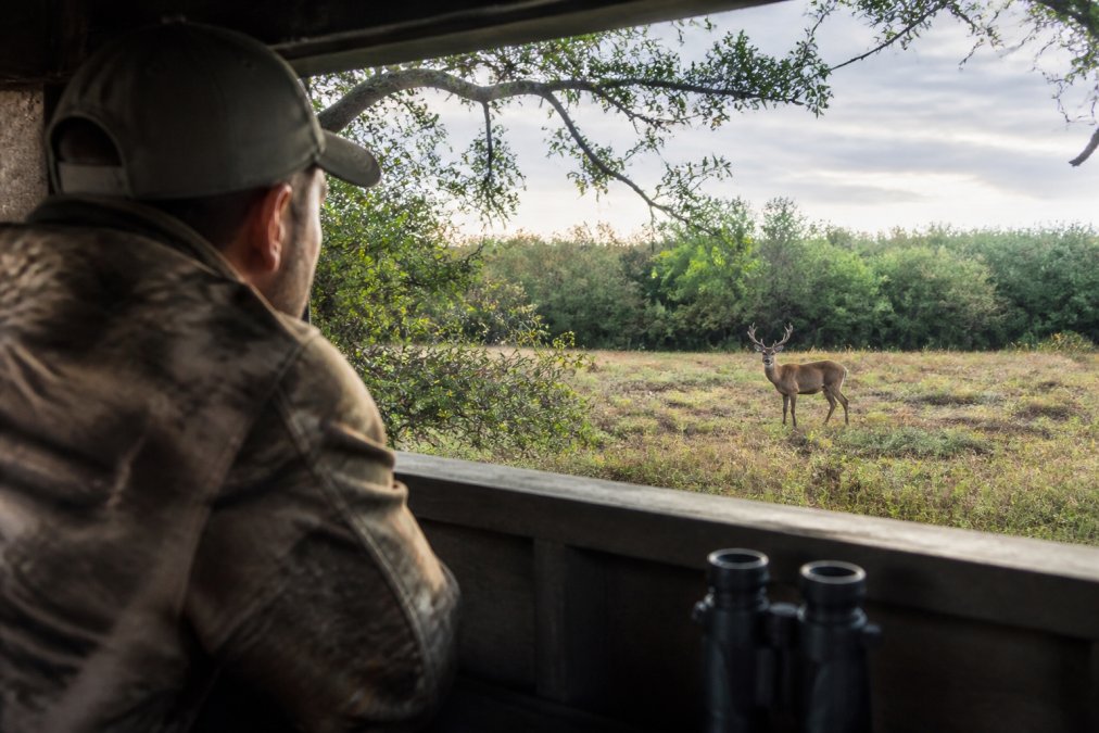 Land Management for Hunting Ranches: 2026 Guide